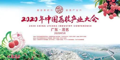 茂名網站建設信息(茂名企業網站建站模板)