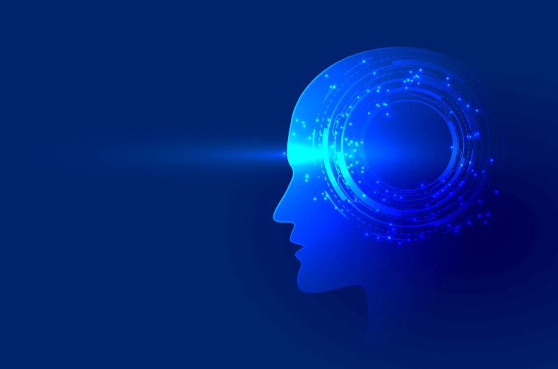 網(wǎng)站建設開發(fā)大腦(網(wǎng)站建設開發(fā)大腦的方法)