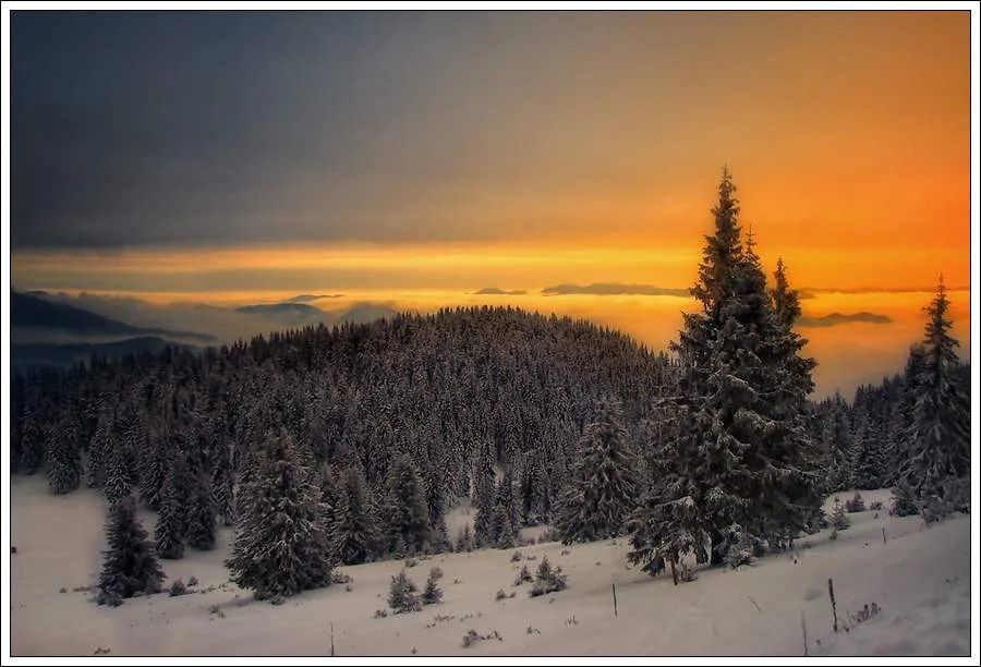 大自然互聯網新聞(大自然科技有限公司事件)