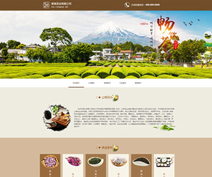 上海好茶網(wǎng)站建設(shè)(江蘇好茶網(wǎng)絡(luò)科技有限公司)