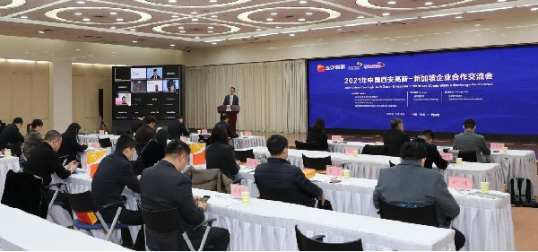 互聯網交流會最新消息(互聯網交流會最新消息新聞)