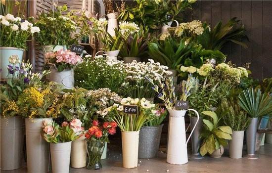 線(xiàn)上花卉小程序開(kāi)發(fā)(線(xiàn)上花卉小程序開(kāi)發(fā)流程)