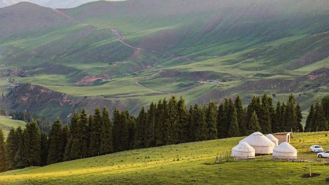 活力伊犁小程序開發(伊利yplus活力俱樂部)