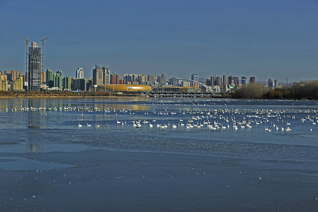 關于三門峽網站建設的信息
