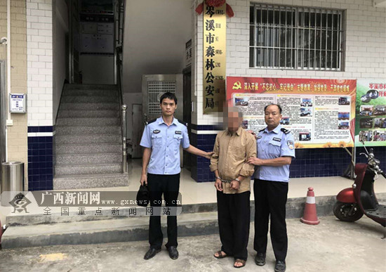 岑溪互聯網新聞網(岑溪互聯網新聞網官網)