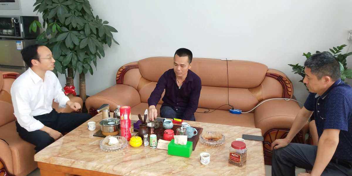 瀝林網(wǎng)站建設(shè)最新消息新聞(瀝林網(wǎng)站建設(shè)最新消息新聞發(fā)布會(huì))