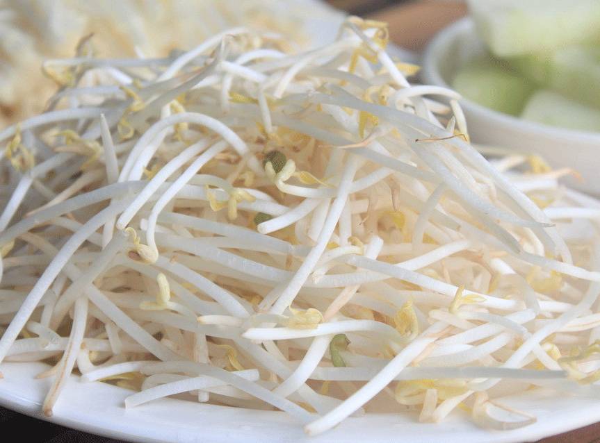 豆芽網站建設(豆芽網站有病毒嗎)