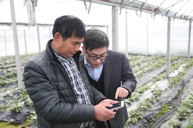 關于農業互聯網的新聞(關于農業互聯網的新聞有哪些)