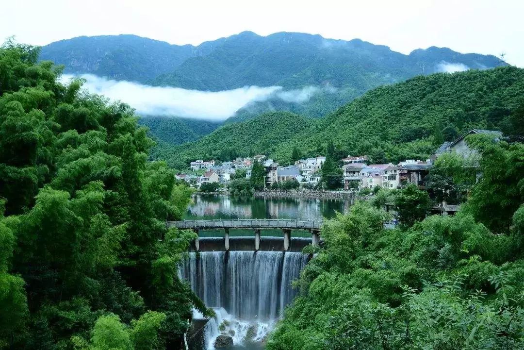 安吉網(wǎng)站建設(shè)(安吉網(wǎng)絡(luò)科技有限公司)