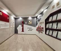 互聯網示范黨支部新聞(互聯網黨建工作開展情況匯報)